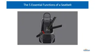 The 5 Essential Functions of a Seatbelt