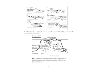 Understanding Chert and Siliceous Sediments: Formation and Varieties