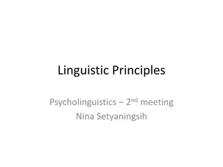 Linguistic Principles and Basic Grammatical Concepts Explained