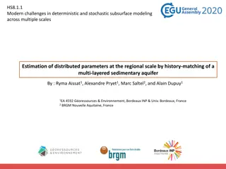 Challenges in Subsurface Modeling: Estimation of Distributed Parameters at Regional Scale