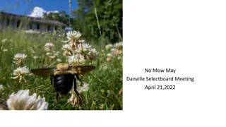 Engaging Danville in No Mow May Initiative for Native Bee Conservation