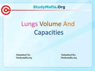Understanding Lung Volumes and Capacities in Respiratory Physiology