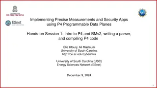 Implementing Precise Measurements and Security Apps with P4 Programmable Data Planes