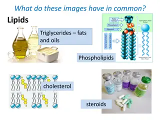 Understanding Lipids: Triglycerides, Fats, and Oils in Biology