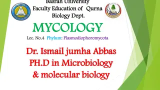 Plasmodiophoromycota: Endoparasitic Fungi Causing Plant Diseases