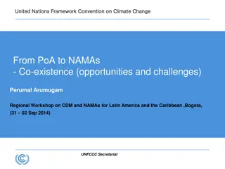 Coexistence of PoA and NAMAs: Opportunities and Challenges in Climate Action