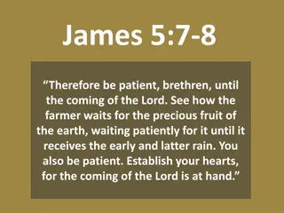 Waiting For the Coming of the Lord - James 5:7-8 Insights