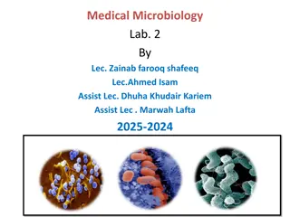 Understanding Bacterial Morphology in Medical Microbiology Lab