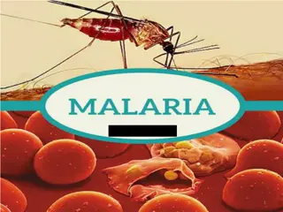 Understanding Malaria: Diagnosis, Treatment, and Pathophysiology