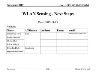 IEEE 802.11-19/1967r0 WLAN Sensing Next Steps Discussion