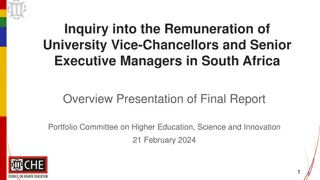 Investigation into University Vice-Chancellors' Remuneration in South Africa