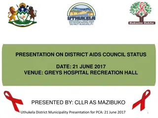 Uthukela District AIDS Council Status: Achievements, Challenges, and Interventions