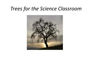 Discover Common Trees of Pennsylvania for Science Classroom
