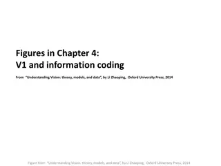 Understanding Vision: V1 and Information Coding Insights