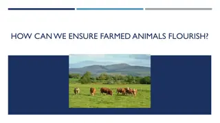 Promoting Animal Welfare in Farming Practices