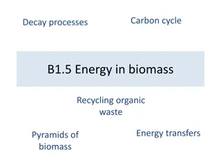 Understanding the Carbon Cycle, Energy Transfers, and Biomass Pyramids