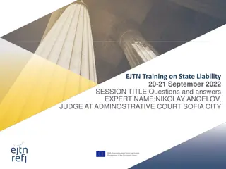 Understanding Civil Liability and EU Law: Expert Insights