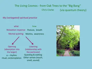 Living Cosmos: Oak Trees to Big Bang, Science & Spiritual Practice