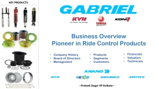 Business Overview Pioneer in Ride Control Products