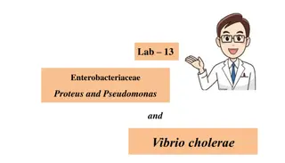 Proteus and Pseudomonas Bacteria: Characteristics, Laboratory Diagnosis, and Serology
