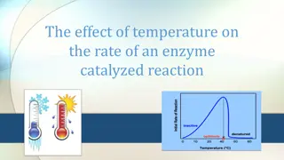 Effect of Temperature on Enzyme Activity