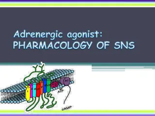 Understanding Adrenergic Agonists and Stimulants in Pharmacology