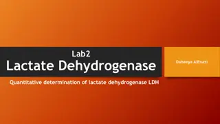 Overview of Lactate Dehydrogenase (LDH) Test and Clinical Significance