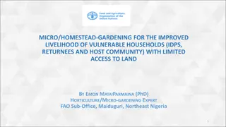 Micro/Homestead Gardening for Improved Livelihood in Northeast Nigeria