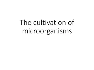Microbial Growth Requirements and Cultivation Explained