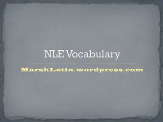 Latin Vocabulary: Learn Common Words and Phrases Easily