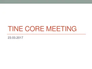 Feature Additions and Bug Fixes in TINE Core Meeting 23.03.2017