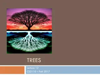 Understanding Trees in Computer Science