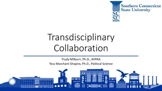 Effective Strategies for Transdisciplinary Collaboration