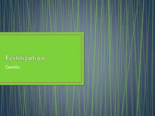 Understanding Human Fertilization Process: A Detailed Guide