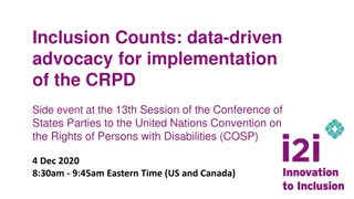 Data-Driven Advocacy for CRPD Implementation | Inclusion Counts Event