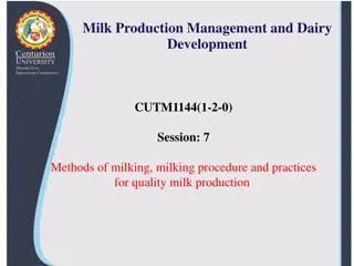 Effective Hand Milking Techniques for Quality Milk Production