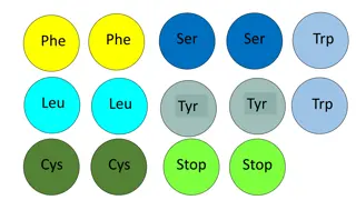 Protein Sequences Slide Presentation