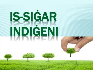 Importance of Trees and Indigenous Species in Malta