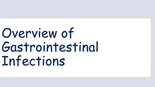 Understanding Gastrointestinal Infections and Diarrheal Diseases