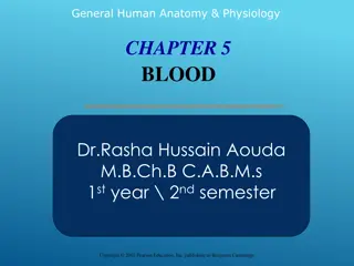 Human Blood: Anatomy, Physiology, and Function Overview
