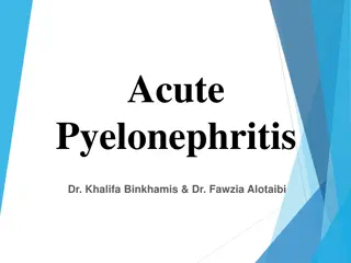 Understanding Acute Pyelonephritis: Risk Factors, Symptoms, and Management