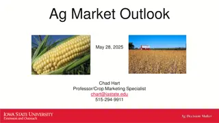 U.S. Agricultural Market Outlook 2025 by Chad Hart - Corn, Soybean, Wheat, Cotton Analysis