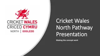 Developing Junior Cricket Pathways in North Wales