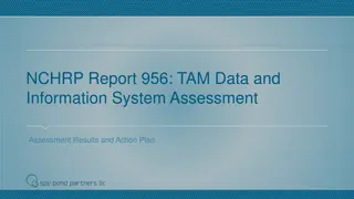 Effective TAM Data and Information System Assessment Results