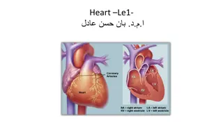 Understanding the Cardiovascular System and Blood Composition