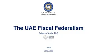 UAE Fiscal Federalism Analysis: Importance and Challenges