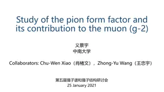 Pion Form Factor Contribution to Muon (g-2) Study