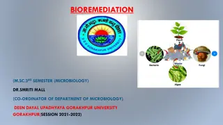 Understanding Bioremediation Techniques in Environmental Management