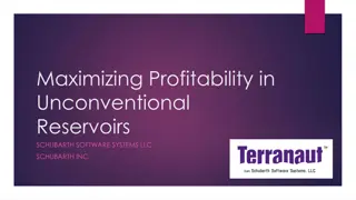 Unconventional Reservoir Profitability Strategies