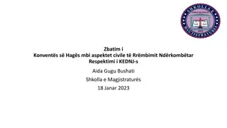 Implementation of Hague Convention on International Child Abduction - Key Aspects and Interpretations